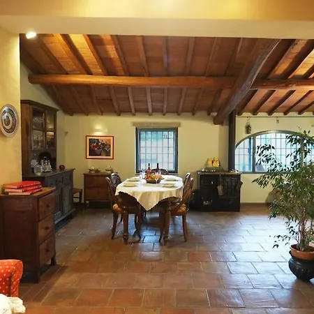 Peramonda Fiesole
