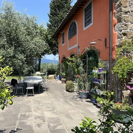 Peramonda * Fiesole