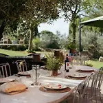 Peramonda *
